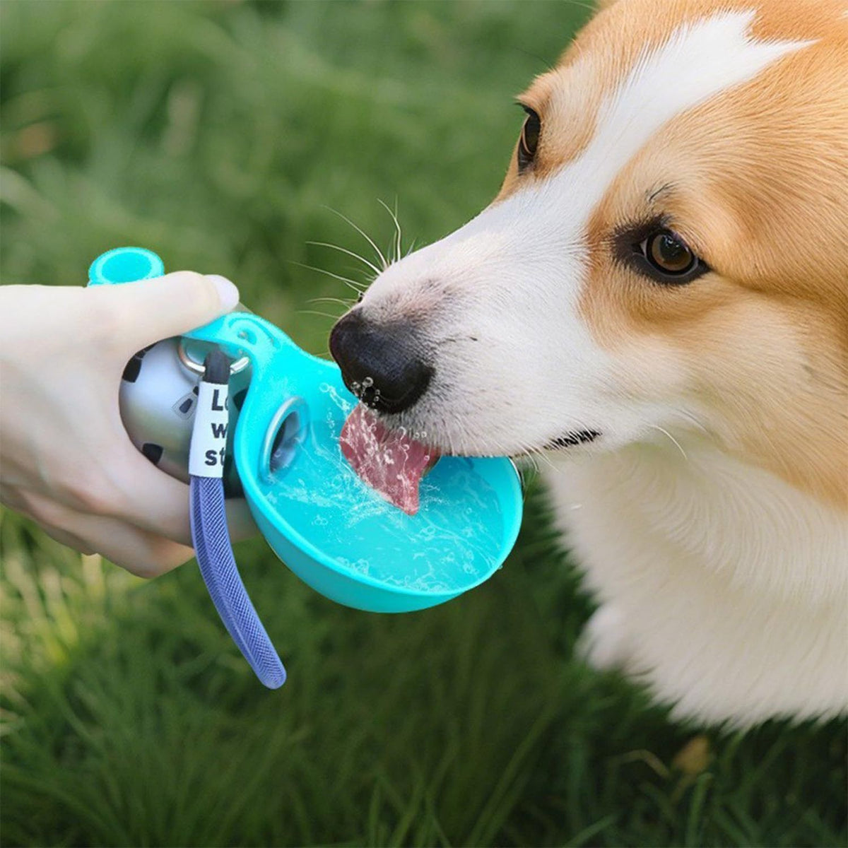Pet Supplies Botella portátil para perros de agua de acero inoxidable 304 diseño plegable